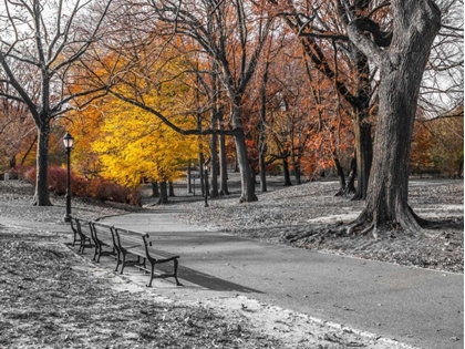 Picture of PATHWAY THROUGH CENTRAL PARK, NEW YORK