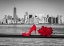 Picture of HIGH HEEL SHOE WITH BUNCH OF ROSES AGAINST LOWER MANHATTAN SKYLINE, NEW YORK