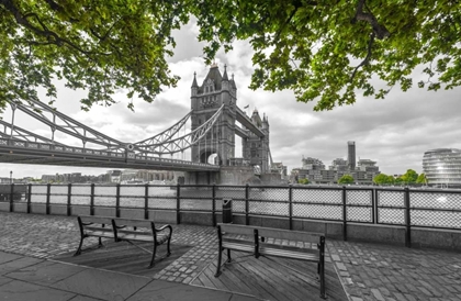 Picture of THAMES PROMENADE WITH TOWER BRIDGE IN BACKGROUND, LONDON, UK