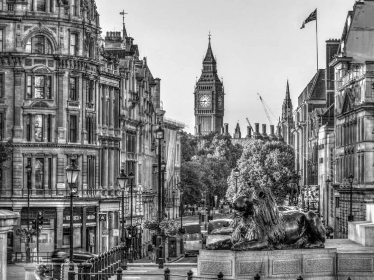 Picture of TRAFALGAR SQUARE, LONDON, UK