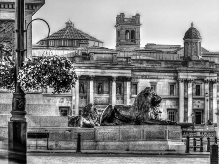 Picture of TRAFALGAR SQUARE, LONDON, UK