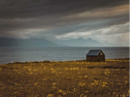 Picture of BEACH HUT ON LOFOTEN COASTLINE, NORWAY