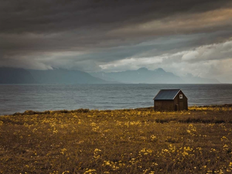 Picture of BEACH HUT ON LOFOTEN COASTLINE, NORWAY