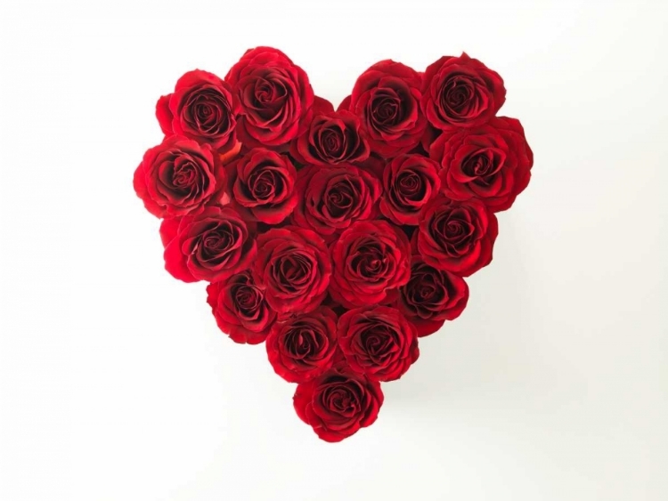 Picture of ROSE FLOWERS IN HEART SHAPE