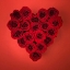Picture of ROSE FLOWERS IN HEART SHAPE