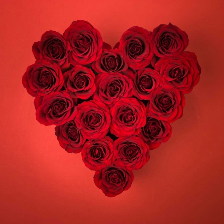 Picture of ROSE FLOWERS IN HEART SHAPE