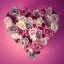 Picture of ROSE HEART