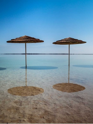 Picture of BATHING CANOPY ON THE BEACH ON THE DEAD SEA, ISRAEL