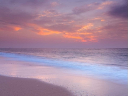 Picture of EVENING VIEW OF BEAUTIFUL BEACH IN ISRAEL