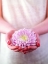 Picture of FEMALE HANDS HOLDING A FLOWER