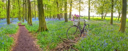 Picture of BICYCLE IN SPRING FOREST WITH BUNCH OF FLOWERS