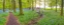 Picture of BICYCLE IN SPRING FOREST WITH BUNCH OF FLOWERS