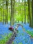 Picture of BICYCLE IN SPRING FOREST