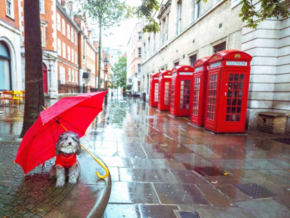 Picture of DOG WITH UMBRELLA ON LONDON CITY STREET