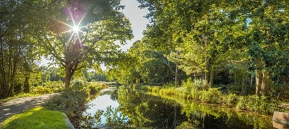 Picture of BASINGSTOKE CANAL IN COUNTRYSIDE, UK