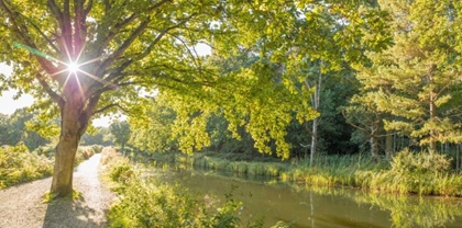 Picture of BASINGSTOKE CANAL IN COUNTRYSIDE, UK