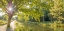 Picture of BASINGSTOKE CANAL IN COUNTRYSIDE, UK