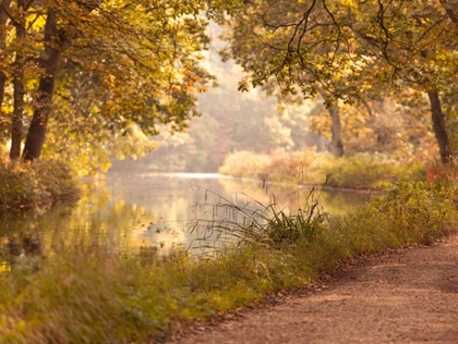 Picture of BASINGSTOKE CANAL IN COUNTRYSIDE, UK, FTBR-1829