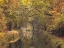 Picture of BASINGSTOKE CANAL IN COUNTRYSIDE, UK, FTBR-1830
