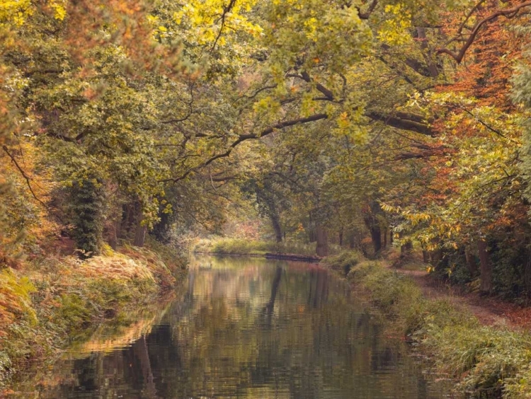 Picture of BASINGSTOKE CANAL IN COUNTRYSIDE, UK, FTBR-1830