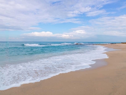 Picture of BEAUTIFUL TROPICAL BEACH