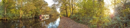 Picture of SMALL CANAL THROUGH FOREST