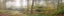 Picture of CANAL THROUGH FOREST IN COUNTRYSIDE