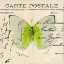 Picture of COLORFUL BUTTERFLY WITH VINTAGE EFFECTS