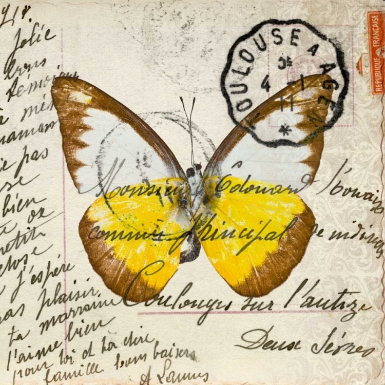 Picture of COLORFUL BUTTERFLY WITH VINTAGE EFFECTS