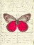 Picture of HANDWRITTEN OLD POSTCARD WITH BUTTERFLY