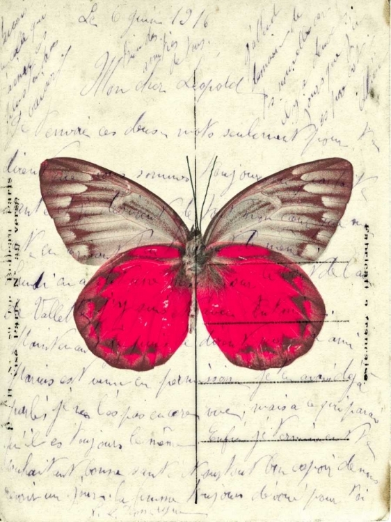 Picture of HANDWRITTEN OLD POSTCARD WITH BUTTERFLY