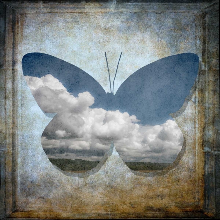 Picture of COLORFUL BUTTERFLY WITH VINTAGE EFFECTS