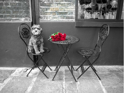 Picture of DOG SITTING ON A CHAIR WITH A BANCH OF ROSES ON A TABLE