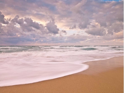 Picture of TRANQUIL BEACH