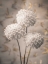 Picture of BEAUTIFUL DAHLIAS FLOWERS