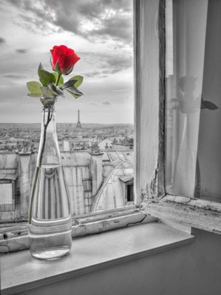 Picture of FLOWER VASE ON WINDOW WITH EIFFLE TOWER IN BACKGROUND, PARIS