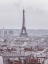 Picture of EIFFEL TOWER SEEN THROUGH THE WINDOW OF AN APARTMENT IN MONTMARTRE, PARIS, FRANCE