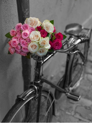 Picture of BUNCH OF ROSES ON BICYCLE, PARIS, FRANCE