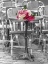 Picture of BUNCH OF ROSES ON STREET CAFE TABLE IN PARIS, FRANCE