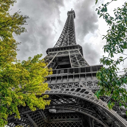 Picture of FAMOU EIFFEL TOWER, PARIS, FRANCE