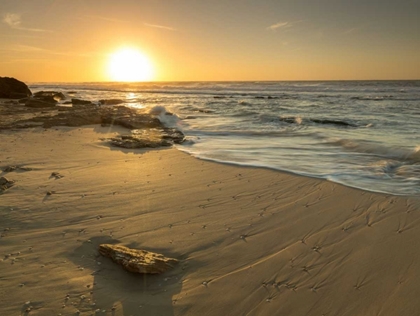 Picture of GOLDEN SUNSET ON BEACH