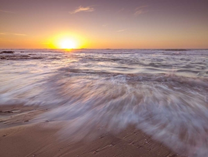 Picture of GOLDEN SUNSET ON BEACH