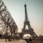Picture of EIFFEL TOWER, PARIS