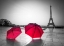 Picture of TWO UMBRELLAS IN FRONT OF THE EIFFEL TOWER, PARIS, FRANCE