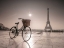 Picture of BICYCLE IN FRONT OF EIFFEL TOWER, PARIS, FRANCE