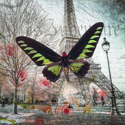 Picture of EIFFEL TOWER WITH BUTTERFLY AND ROSES OVERLAY
