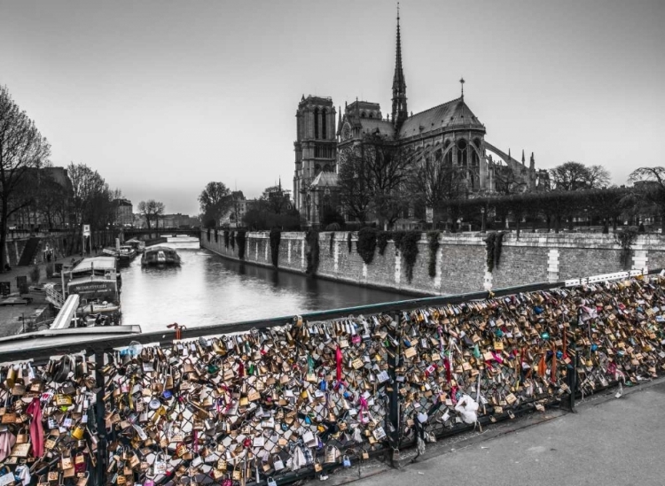 Picture of PONT DES ARTS BRIDGE WITH LOVE PADLOCKS, PARIS