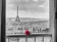 Picture of ROSE ON BALCONY RAILING WITH EIFFEL TOWER IN BACKGROUND, PARIS, FRANCE