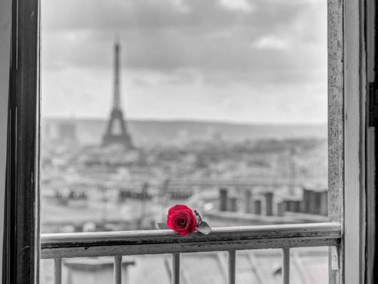 Picture of ROSE ON BALCONY RAILING WITH EIFFEL TOWER IN BACKGROUND, PARIS, FRANCE