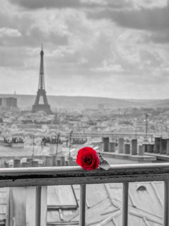 Picture of ROSE ON BALCONY RAILING WITH EIFFEL TOWER IN BACKGROUND, PARIS, FRANCE